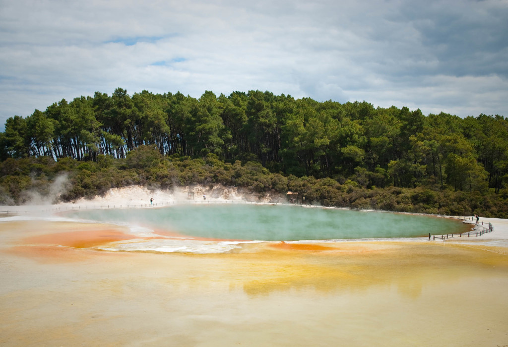geothermaltaupo3
