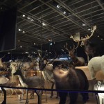 Museo de La Ciencia y La Naturaleza de Tokyo